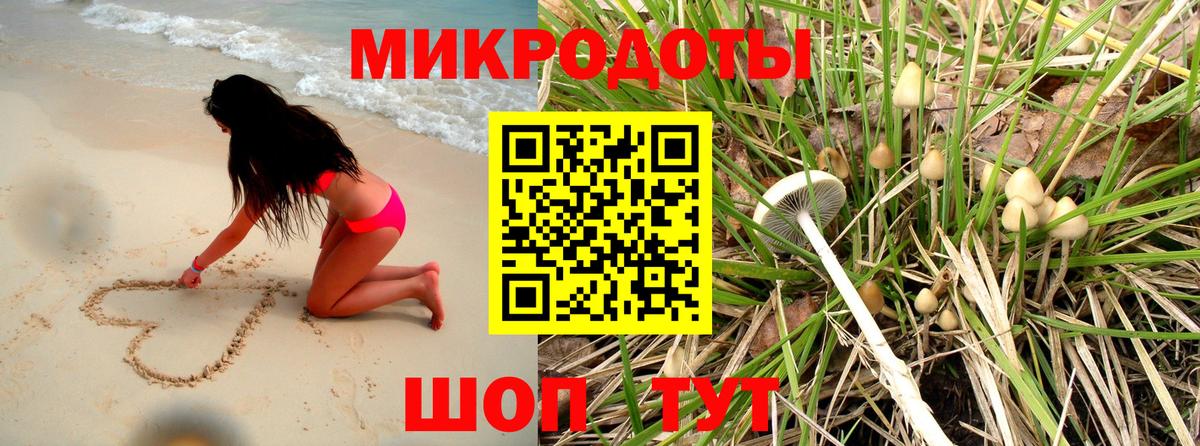 Псилоцибиновые грибы Psilocybine cubensis Новочебоксарск