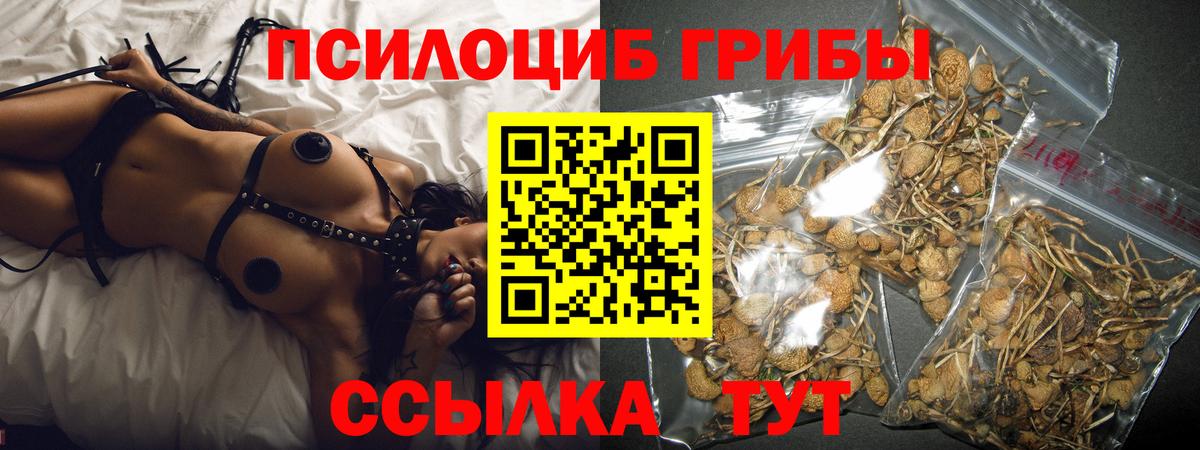 Галлюциногенные грибы ЛСД  Вход с VPN  Новочебоксарск 
